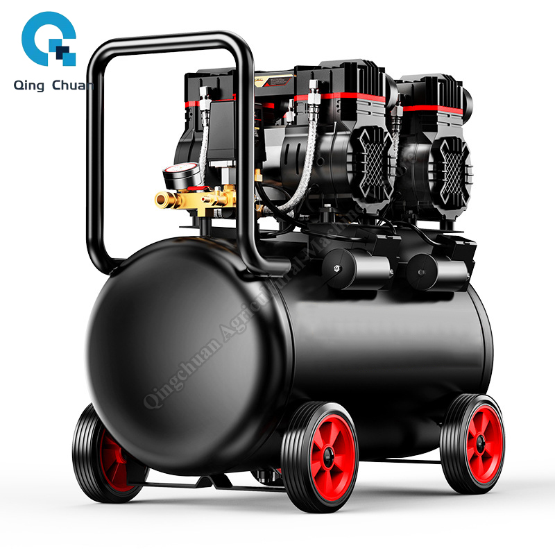 Air Compressor Small 220V 40L  - Woodworking Oil recension och pris