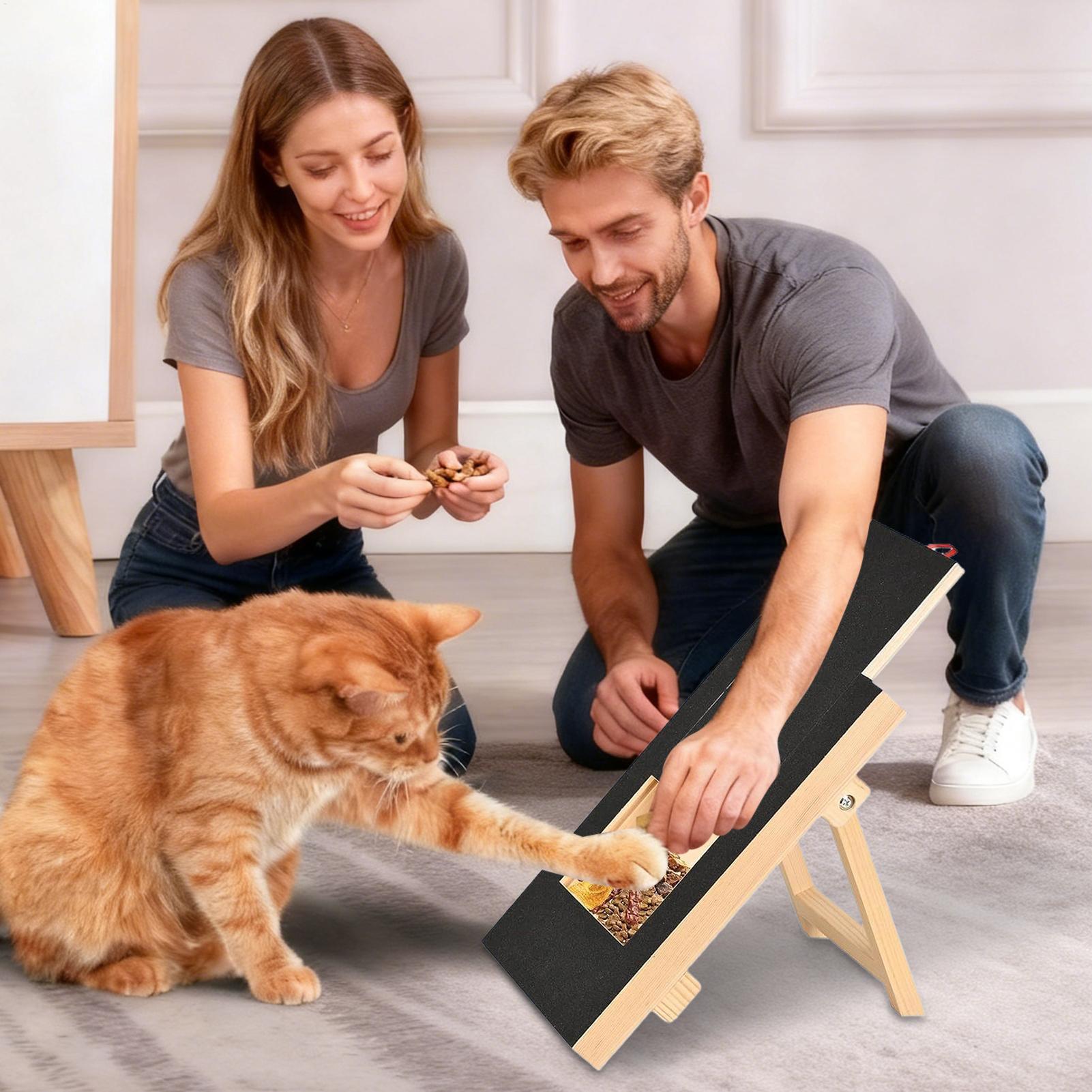 Wooden Pet Scratching Board fo - Woodworking Magazine recension och pris