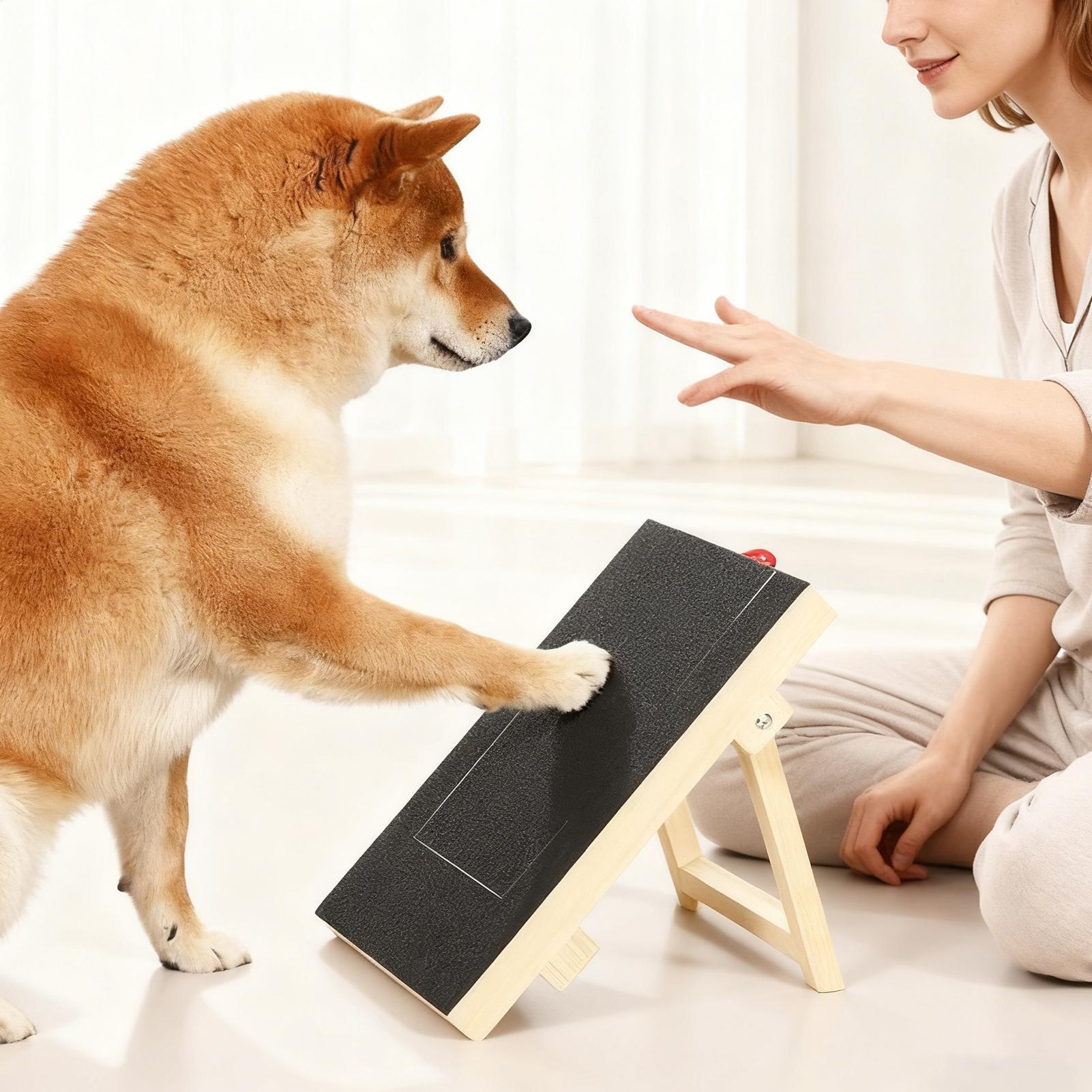 Wooden Pet Scratching Board fo - Woodworking Magazine recension och pris